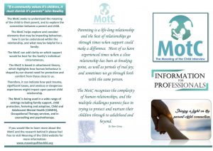 Leaflet for professionals (PDF)